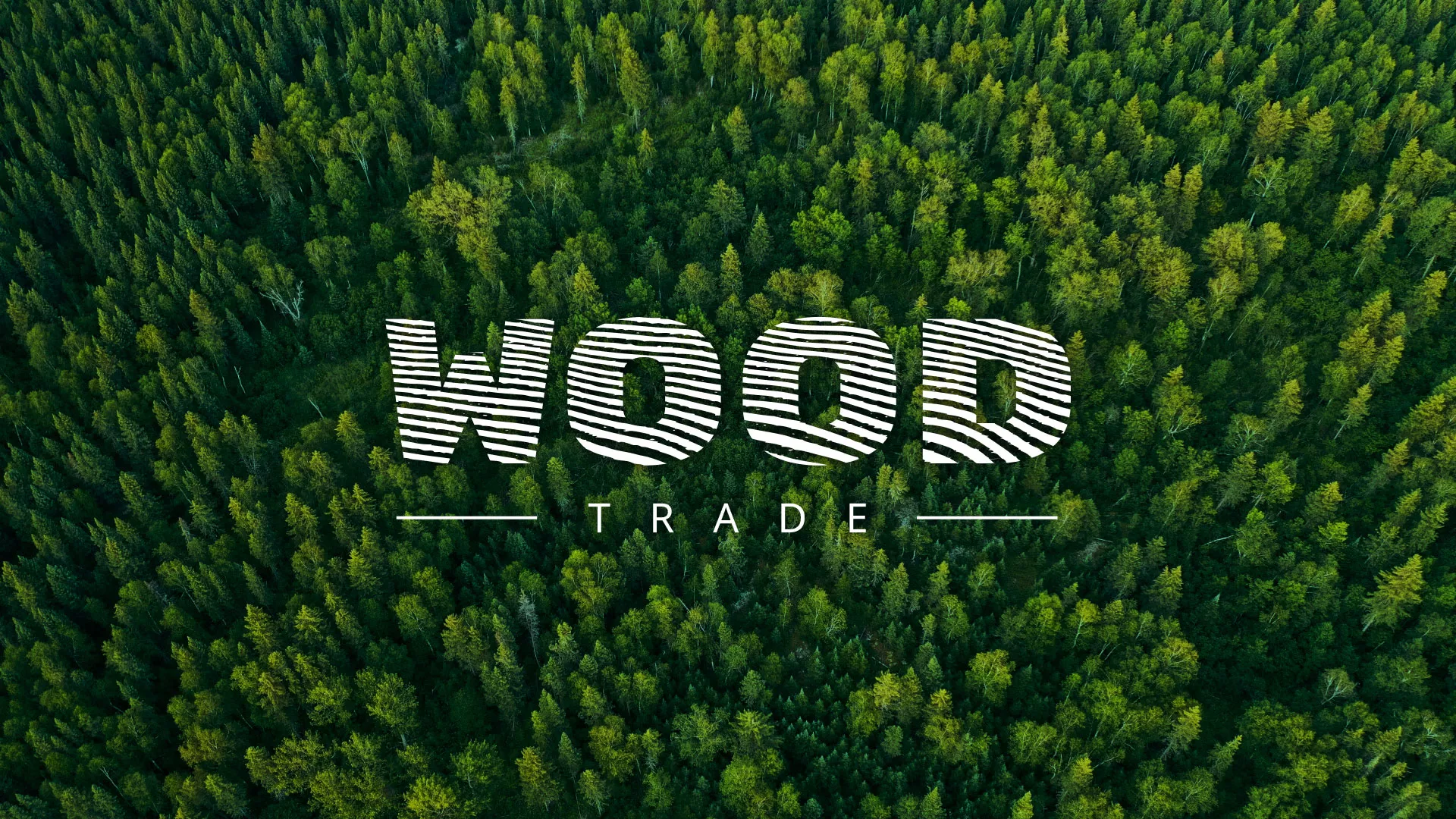 Разработка интернет-магазина компании «Wood Trade» в Ачинске